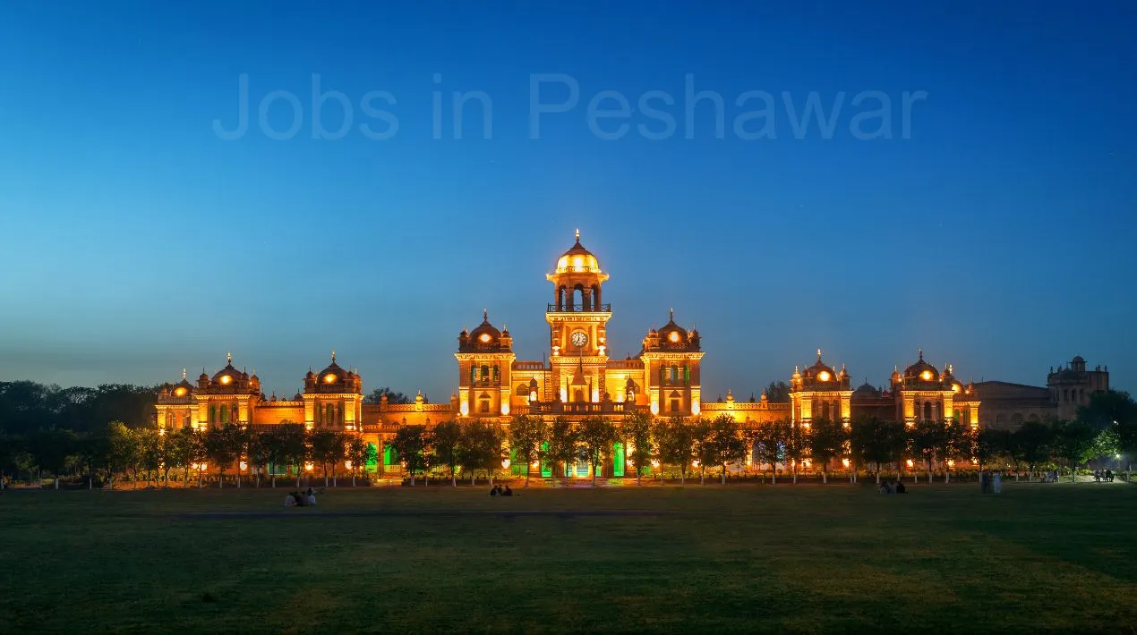 Jobs in Peshawar 2023