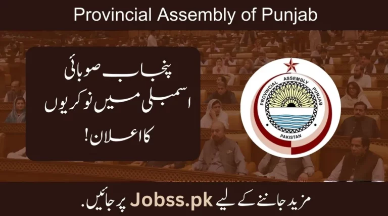 Provincial Assembly of Punjab Jobs 2024