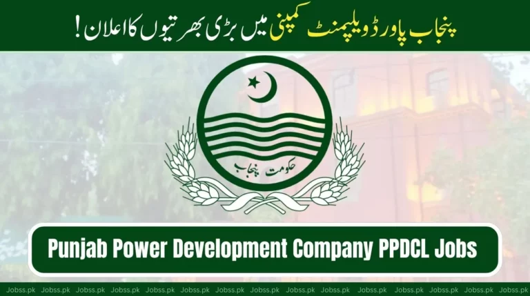 Punjab Power Development Company PPDCL Jobs